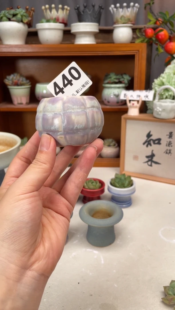 瓷片440知木小芳花盆直播编号
