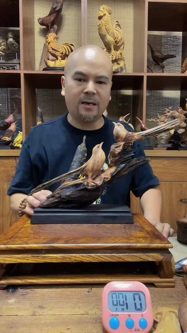 松木展* 定向 展昭