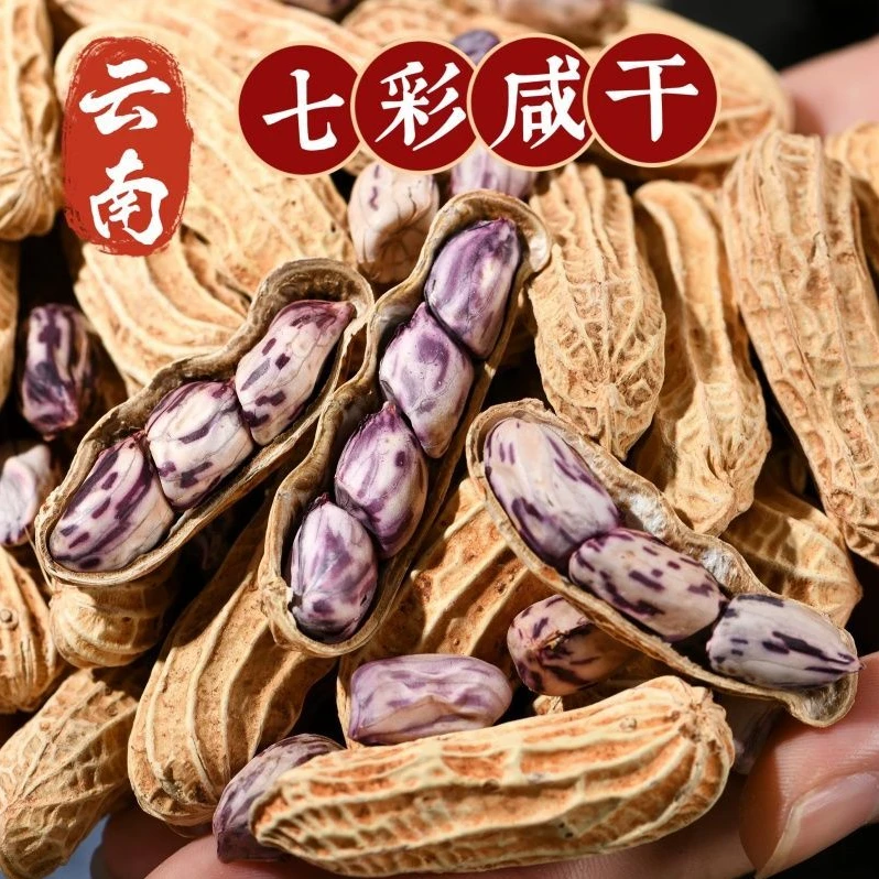 1斤大颗粒】新货云南七彩花生农家原味七彩野地生彩色花生带壳水煮
