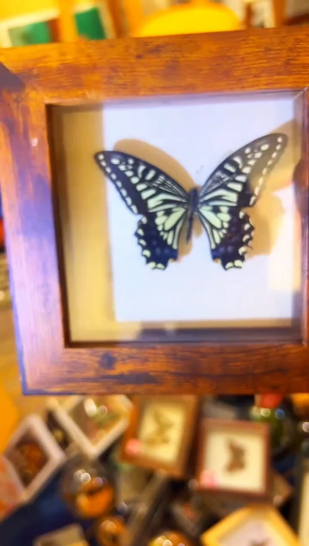 有机玻璃118484481