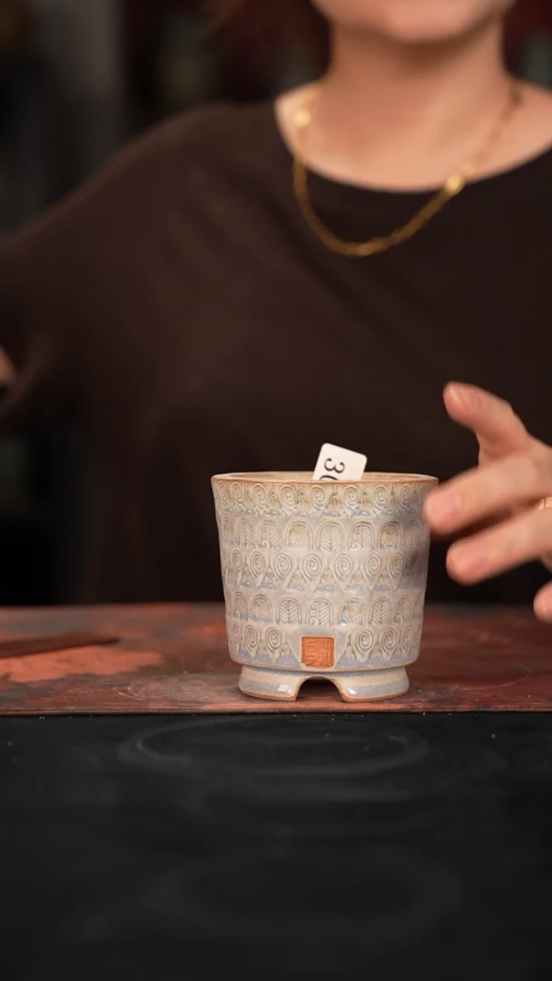 6-15-305花盆口径