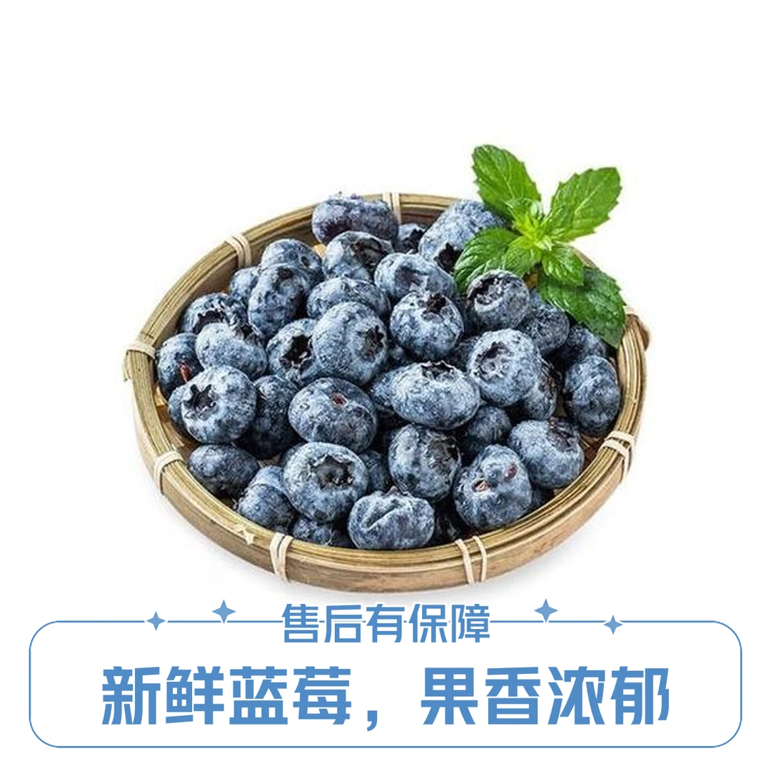 蓝莓L125脆甜可口带花香单盒125g4/8/12盒