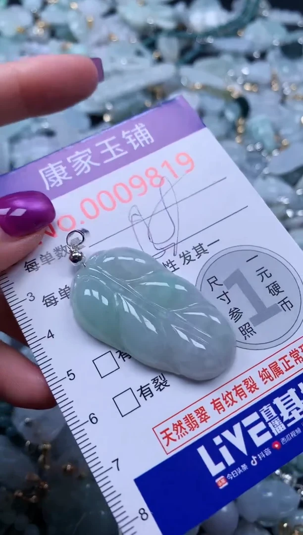 颈饰未镶嵌翡翠9819