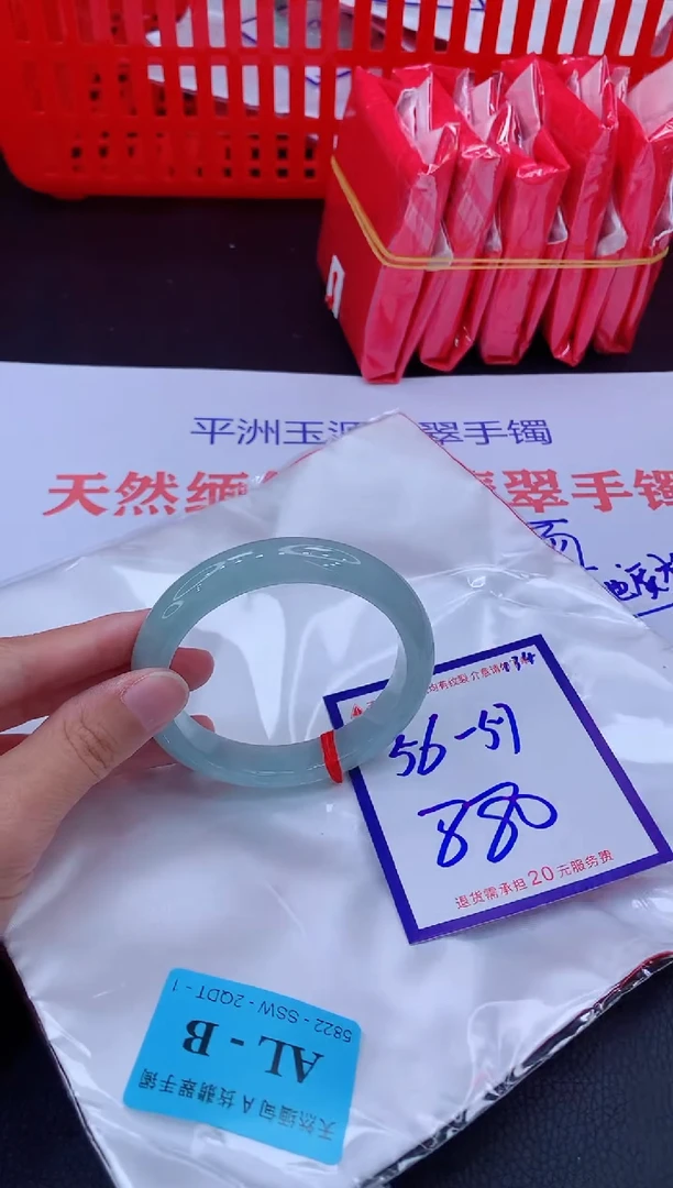 未镶嵌手镯翡翠11111111
