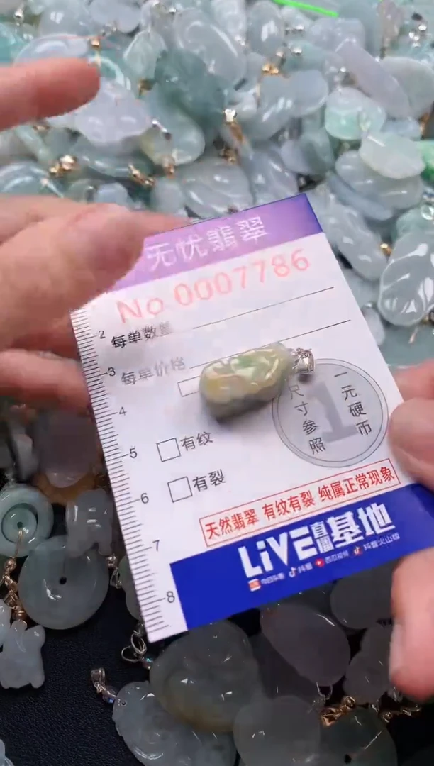 颈饰未镶嵌翡翠7786