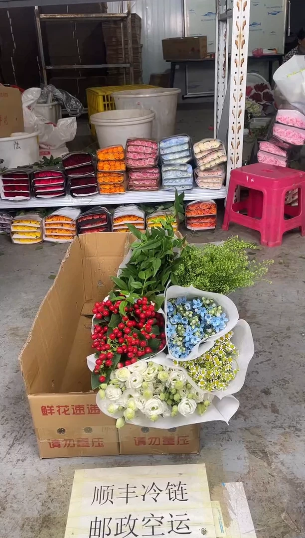 白色洋桔梗800克+洋甘菊+红豆+蓝星花+绿林草+九星叶