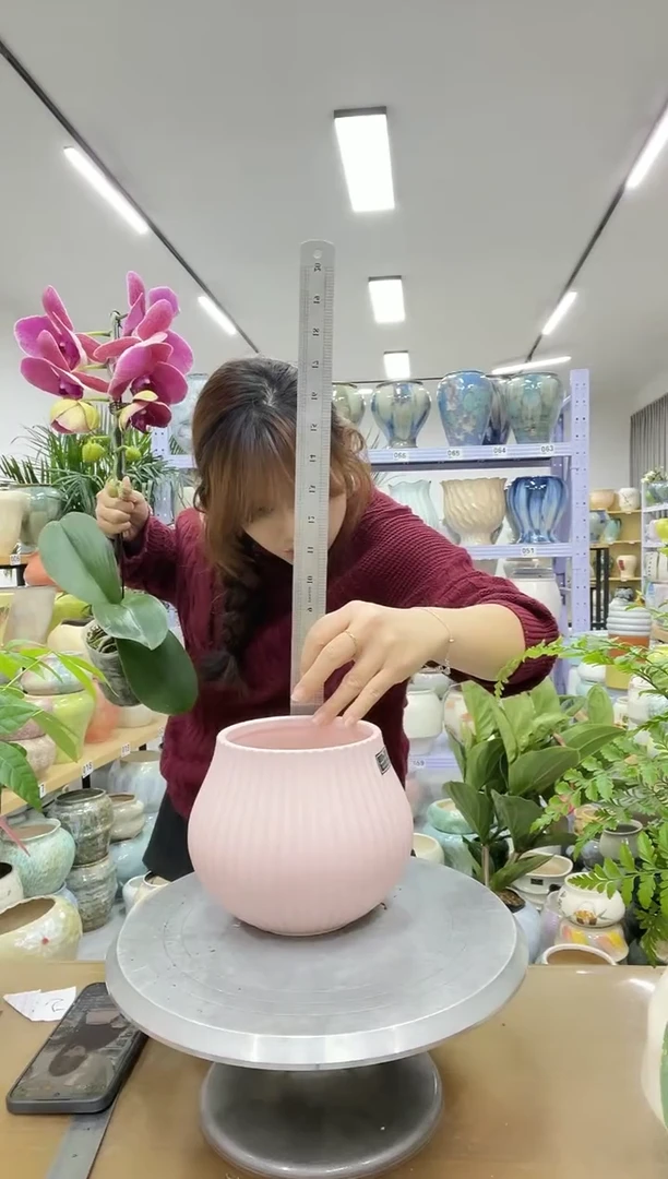 11.20陶瓷花盆直播链接高.    14  口12