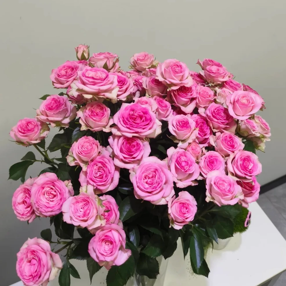 三岁花集-多头玫瑰如梦（一单顺丰冷链包邮）