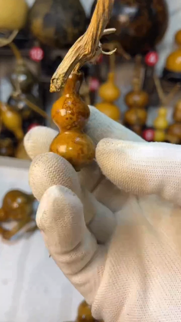 【闪购商品】葫芦葫芦葫芦葫芦