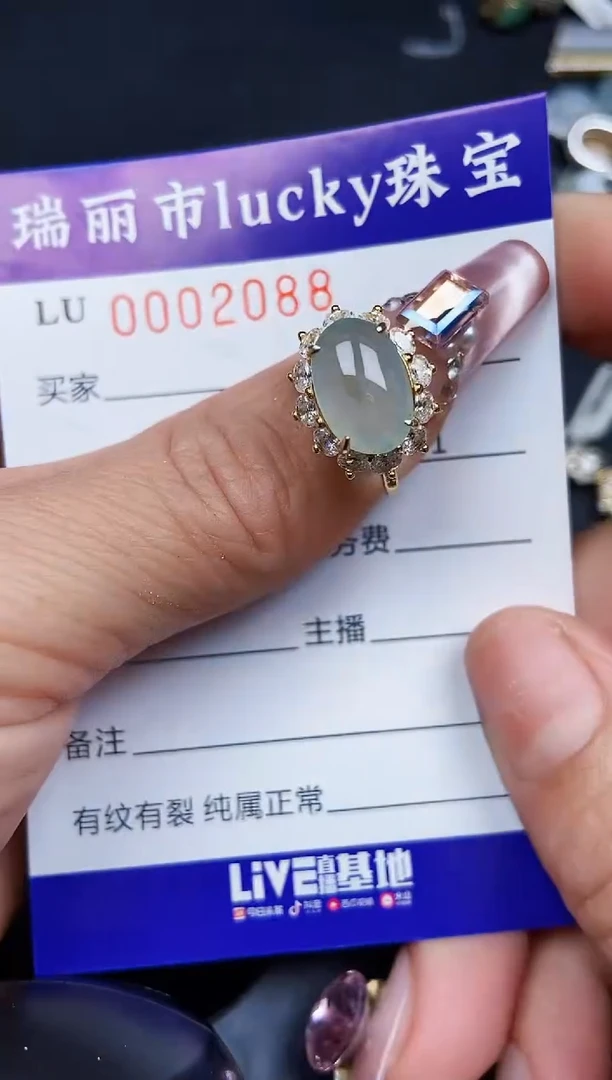 翡翠银S925镶嵌颈饰2088