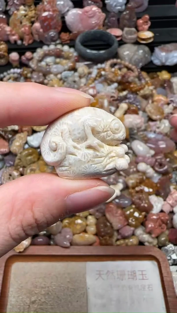 颈饰未镶嵌硅化珊瑚（珊瑚玉）527