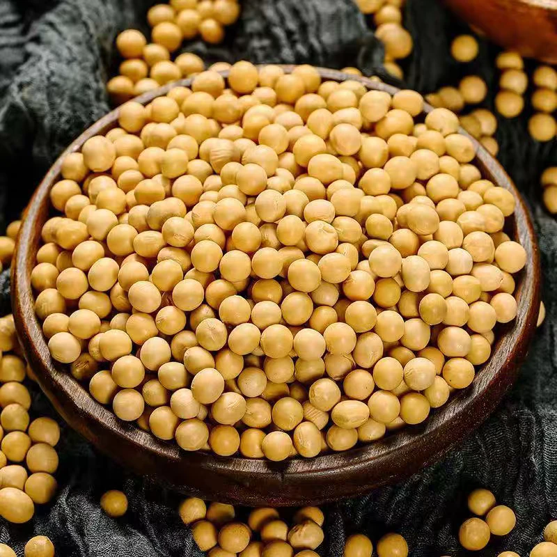 黄豆农家非转基因东北豆浆豆芽大豆豆腐专用新鲜批发打豆浆