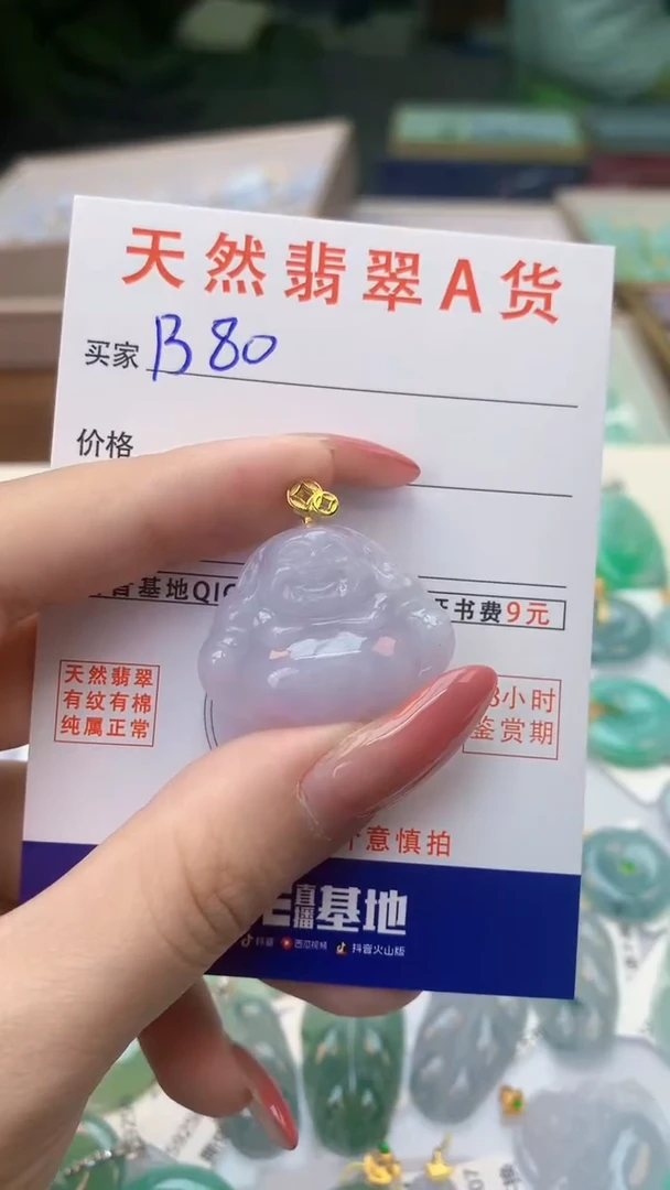 颈饰未镶嵌翡翠天然A货翡翠挂件