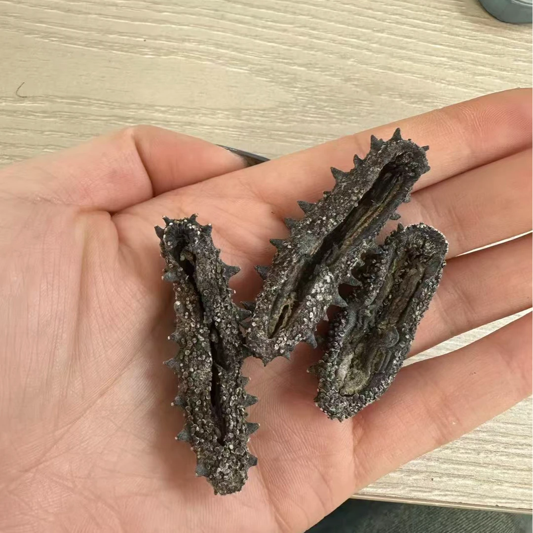 【自己吃一斤装的】大连正宗海参辽刺参滋补养生干货130头左右/500g