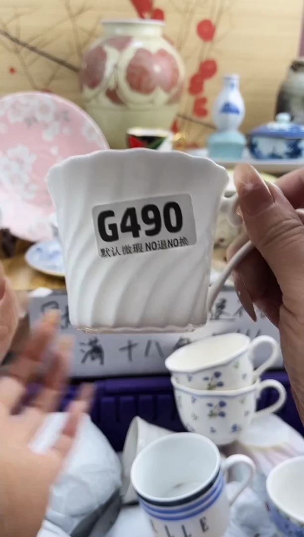 品****2==============g490