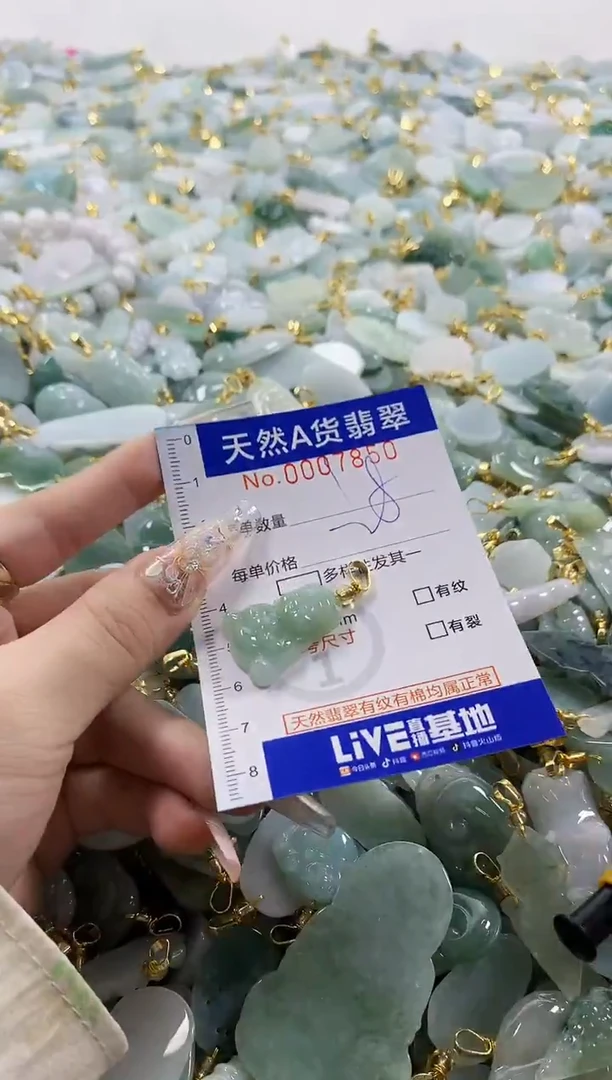 颈饰未镶嵌翡翠小*亮天然A货翡翠