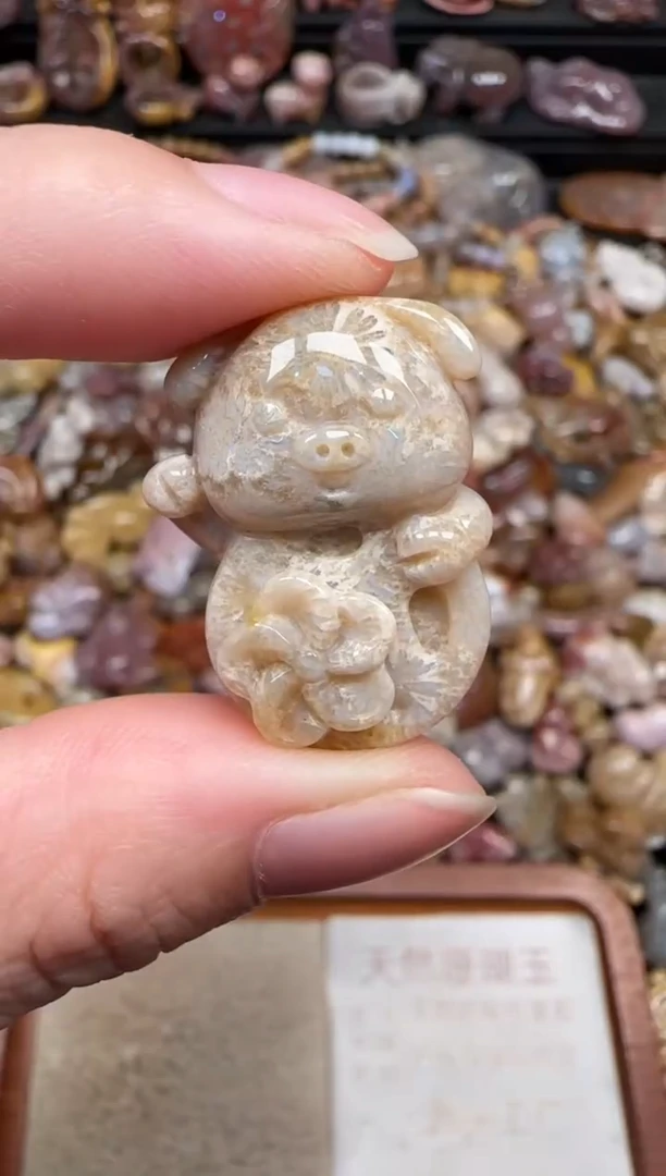 颈饰未镶嵌硅化珊瑚（珊瑚玉）061