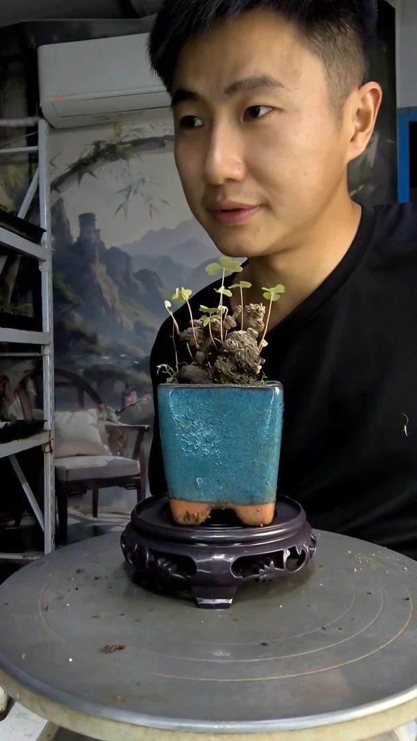 美*中青园艺一物一拍146