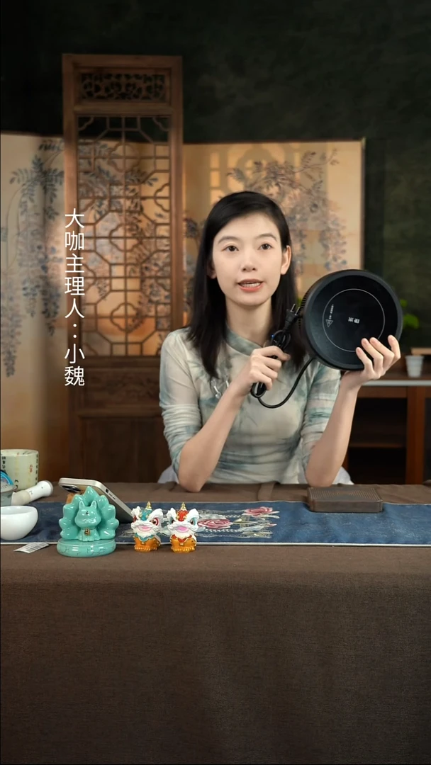 黑色电陶炉黑色电陶炉