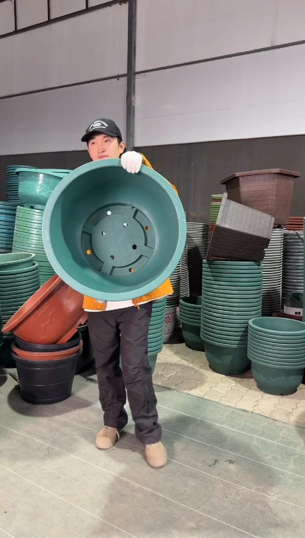 60绿龙盆3，托盘3，控根器布3