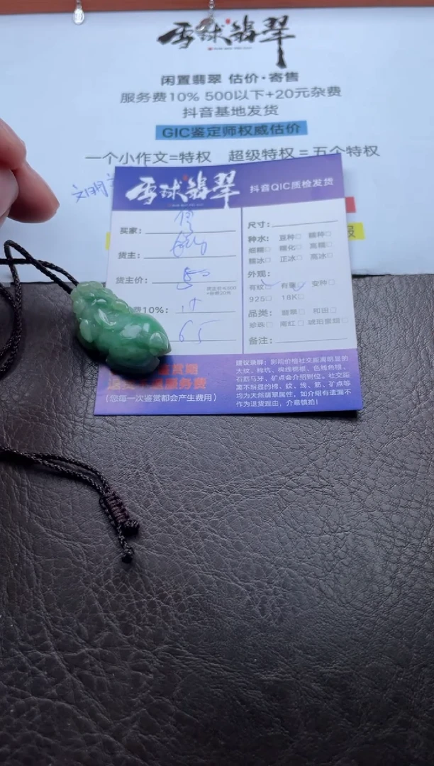 颈饰未镶嵌翡翠17511020145