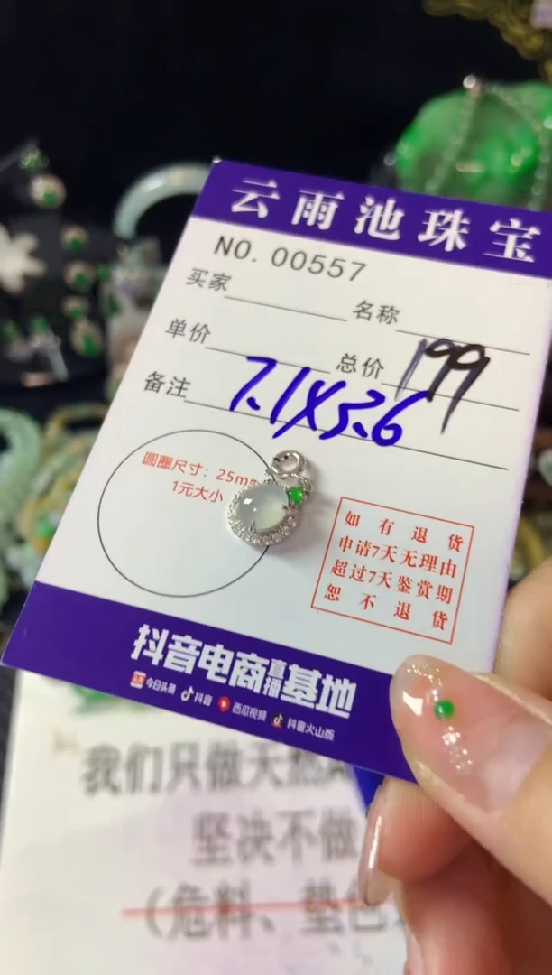 【闪购商品】翡翠颈饰银S925镶嵌翡翠