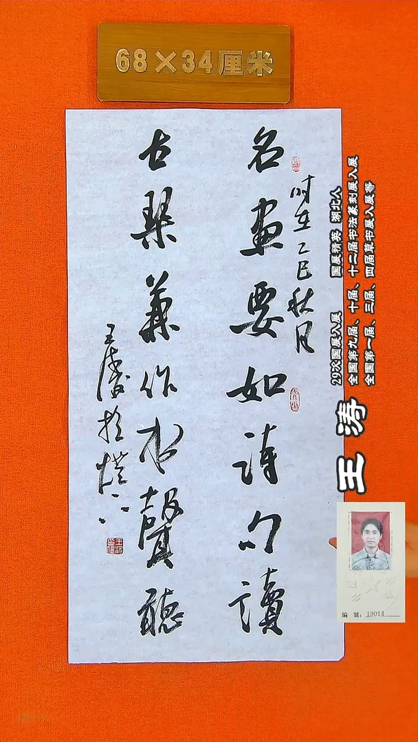 书法273R王涛书法作品