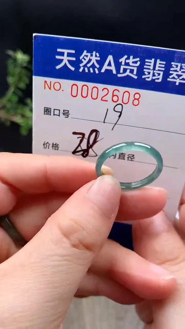未镶嵌戒指翡翠19#