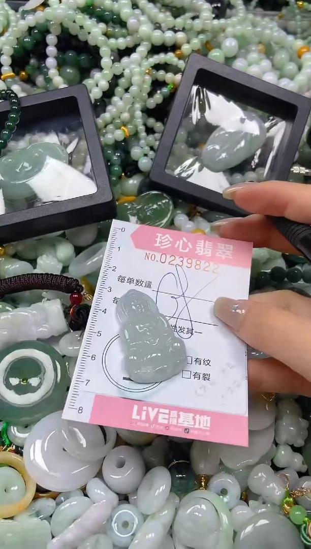 翡翠未镶嵌颈饰闪购0239822