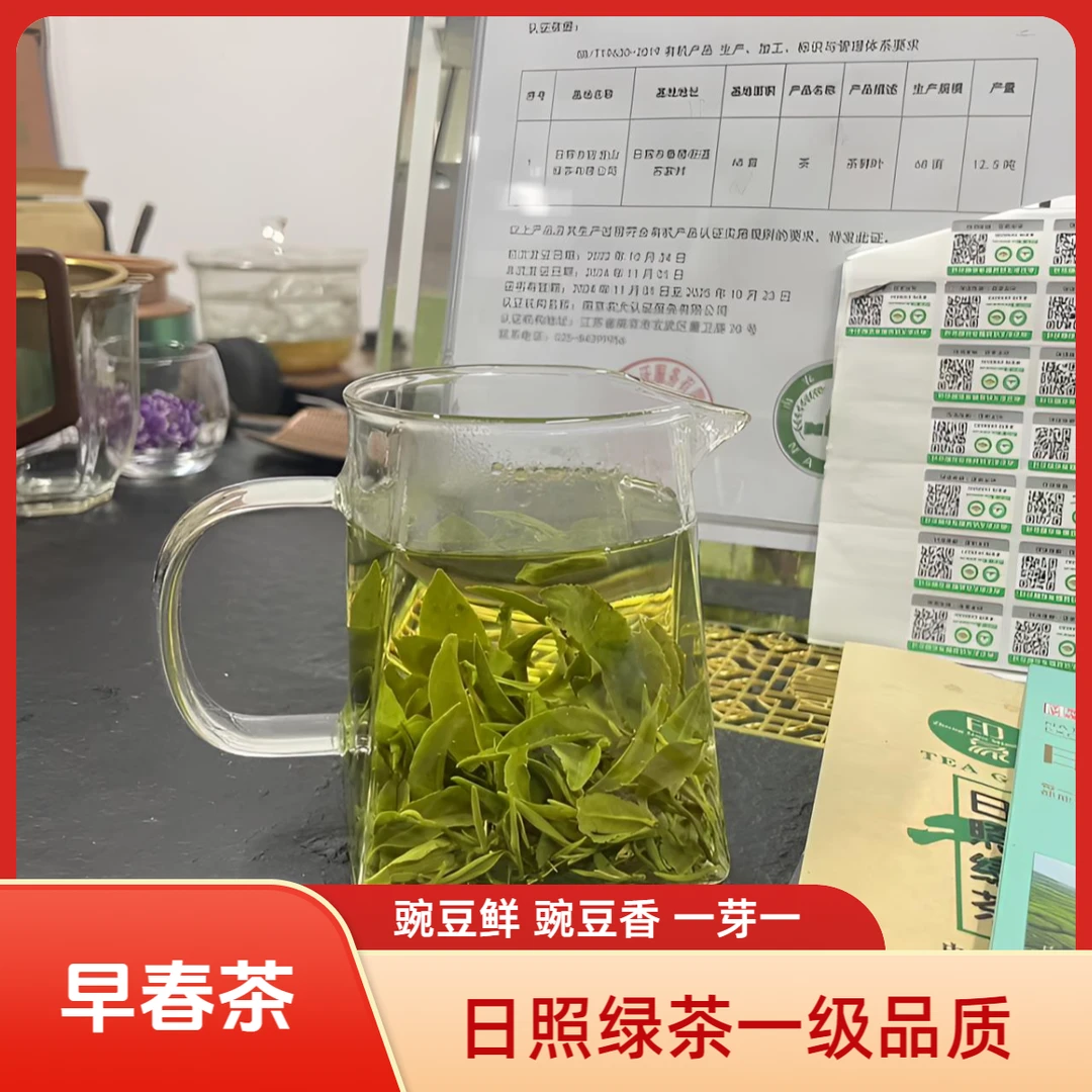 【鲜香】日照绿茶新茶浓鲜嫩鲜甜鲜香耐泡一芽一二叶