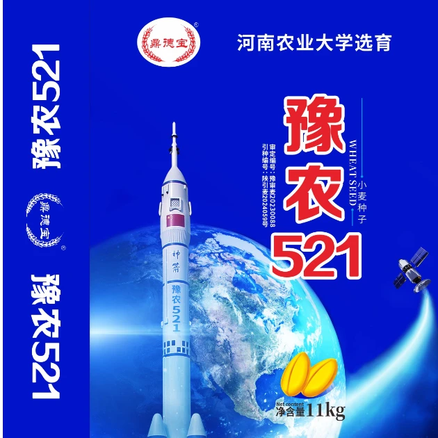 豫农521 黄淮海高抗稳产高产  丰收优质品种