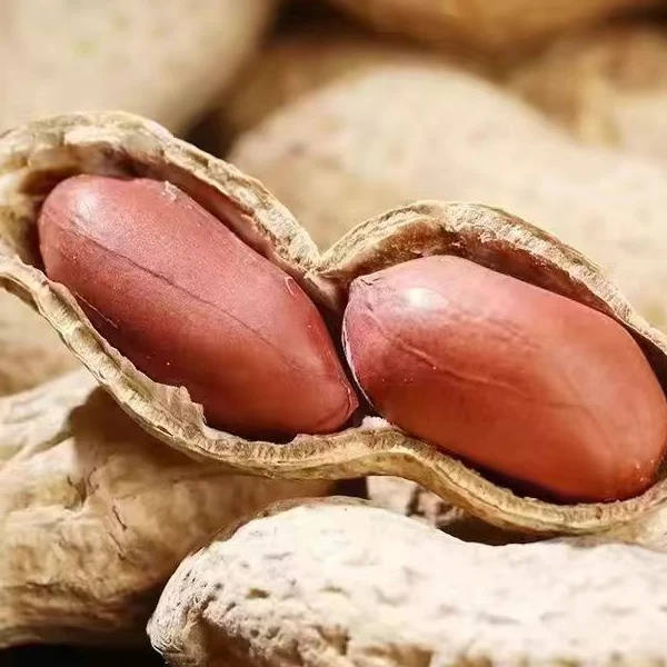 【现炒现发】炒花生带壳原味24年新货农家铁锅原味炒花生三斤装