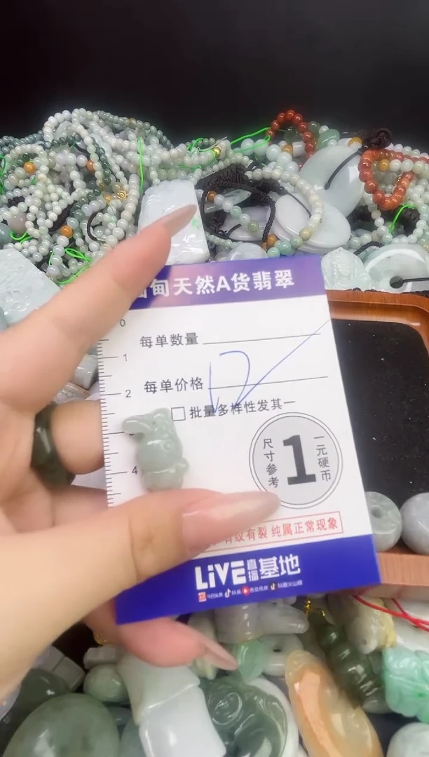 颈饰未镶嵌翡翠颈饰 未镶嵌 翡翠059