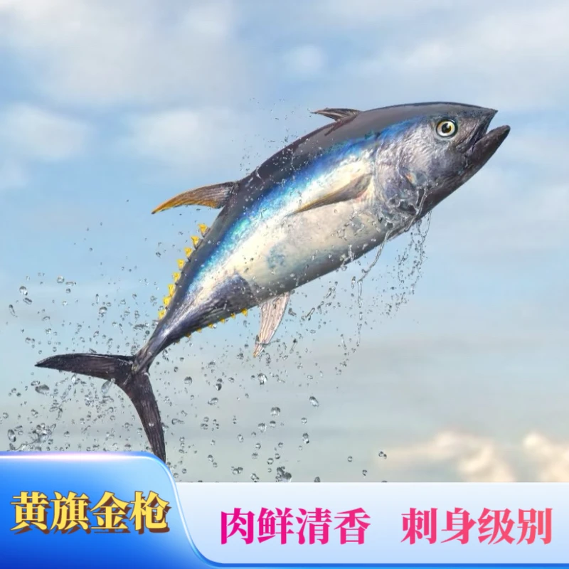 （金枪鱼）海南钓友深海海钓新鲜回港的黄旗金枪鱼  放血可刺身