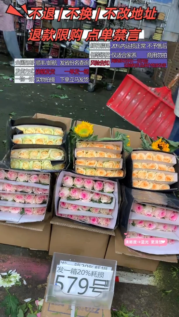 579号♥含20%耗损发一箱