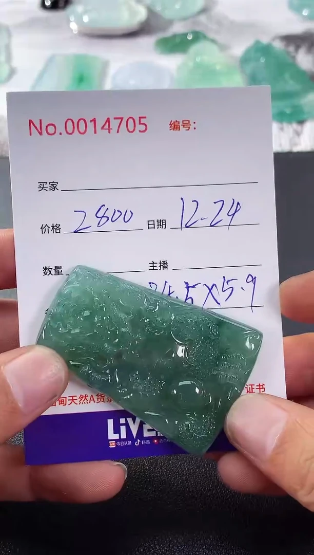 颈饰未镶嵌翡翠龙牌
