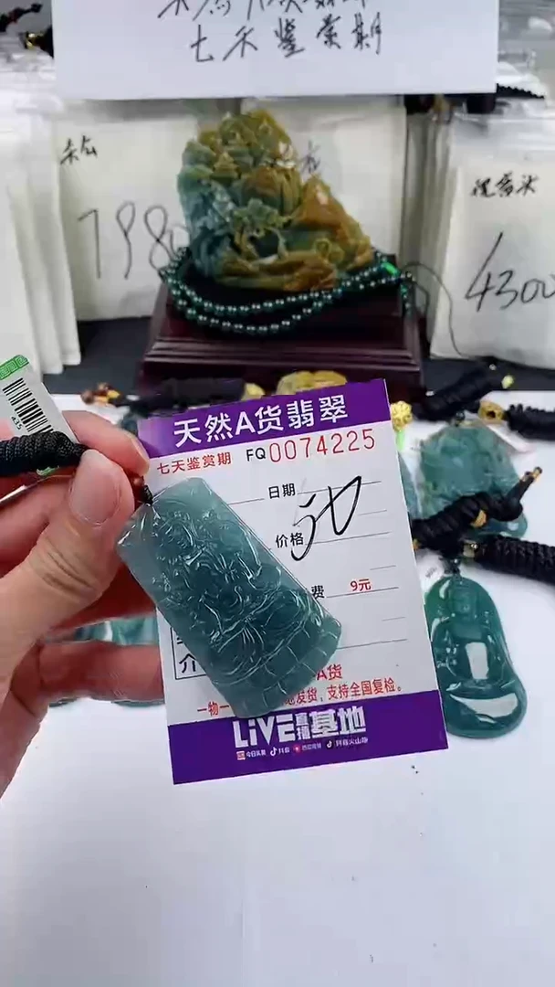 【闪购商品】翡翠颈饰未镶嵌