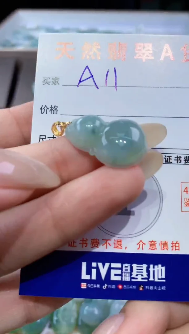 颈饰未镶嵌翡翠天然翡翠A货挂件