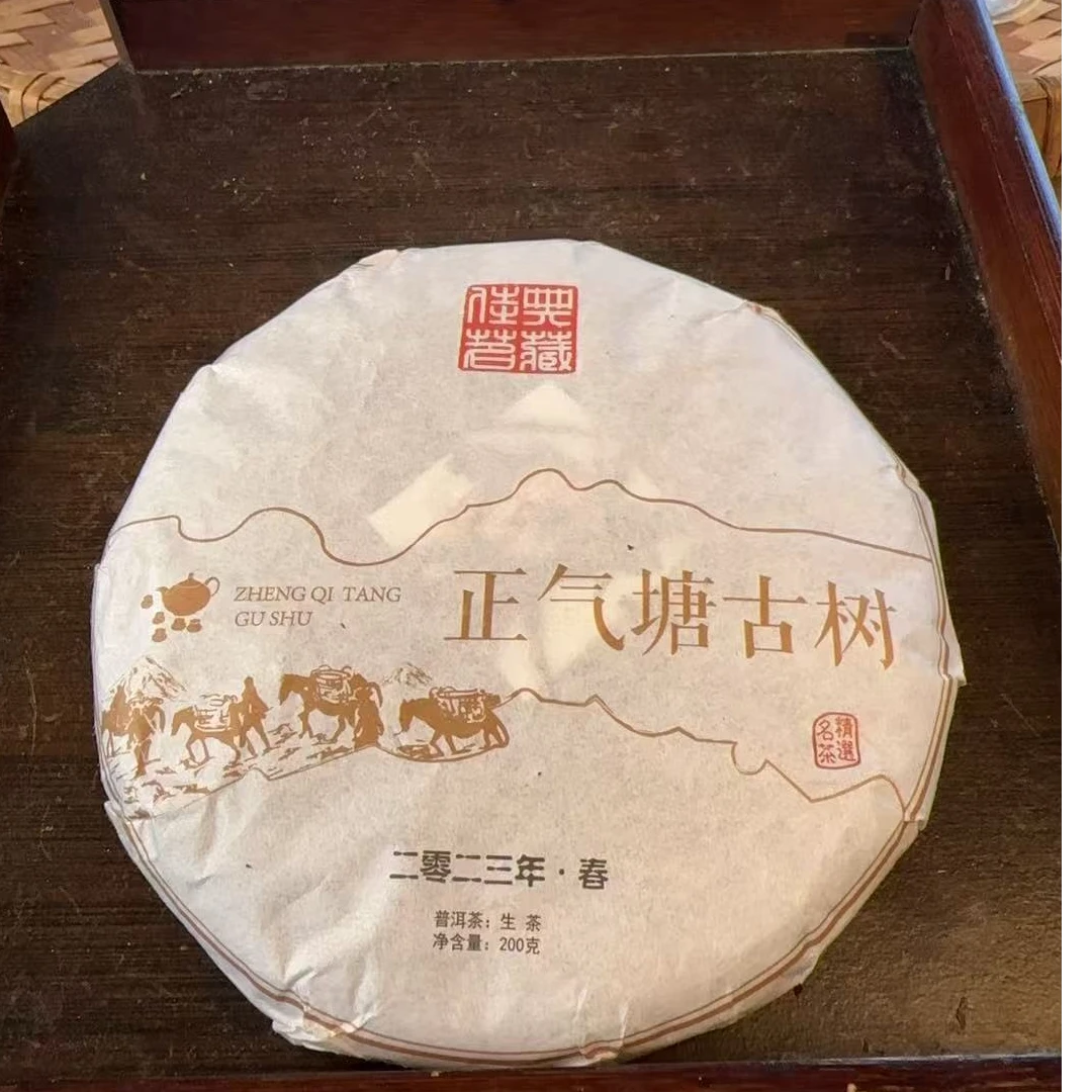 毕自珍2023年正气塘古树头春头采200克饼/普洱生茶/长期存放
