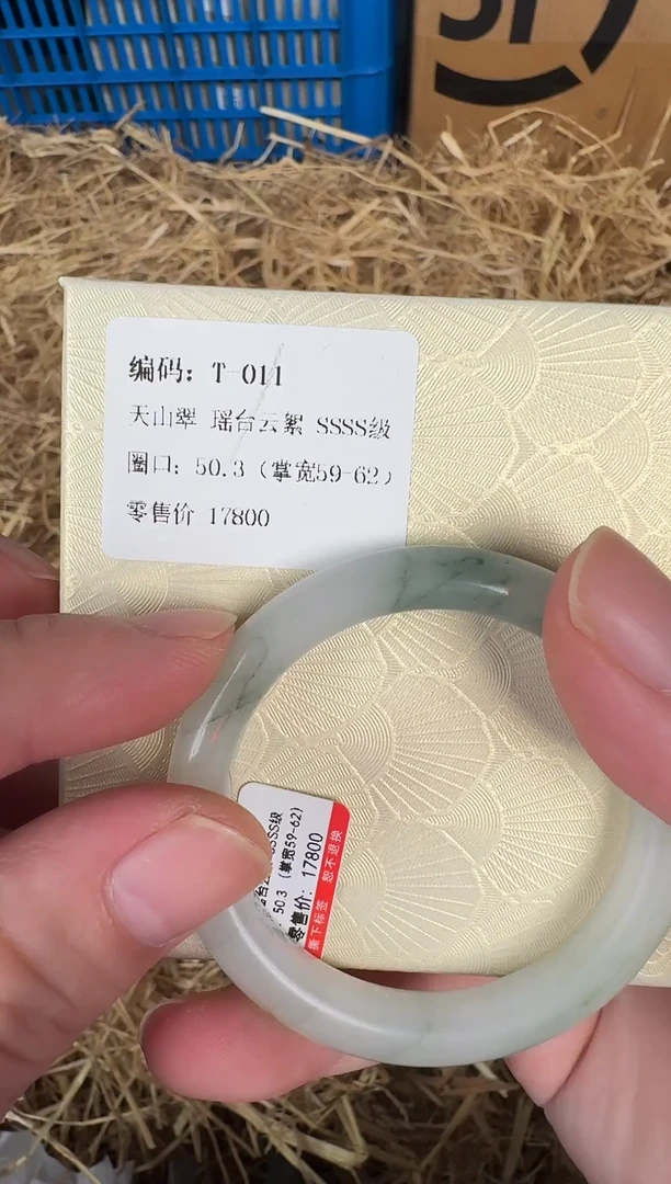 未镶嵌手镯石英质玉T-011