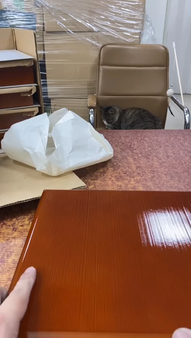 瓷片533分小林轩欢迎您