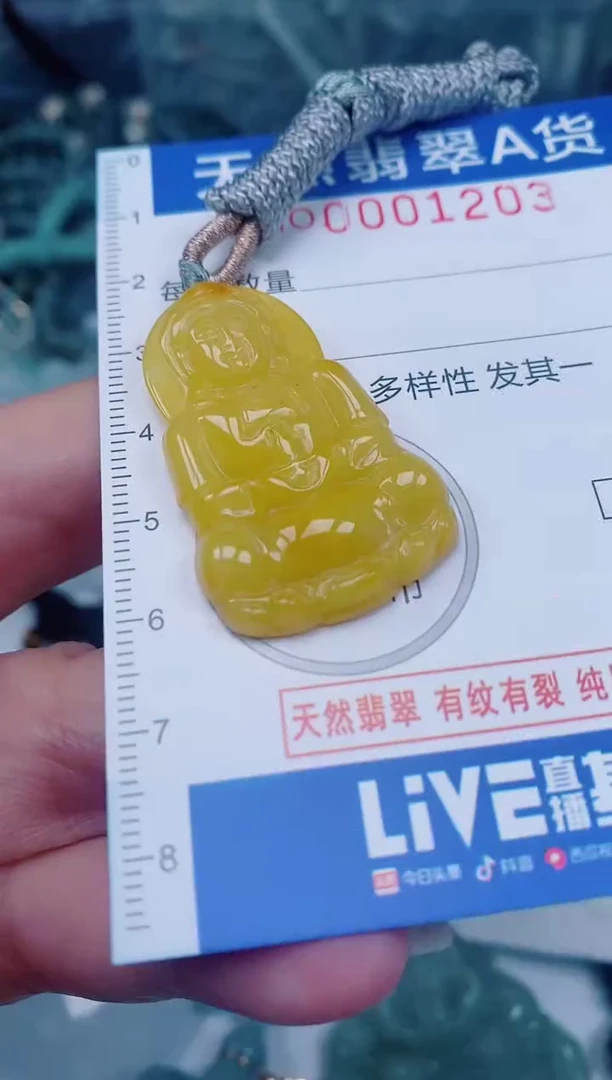 颈饰未镶嵌翡翠00001203