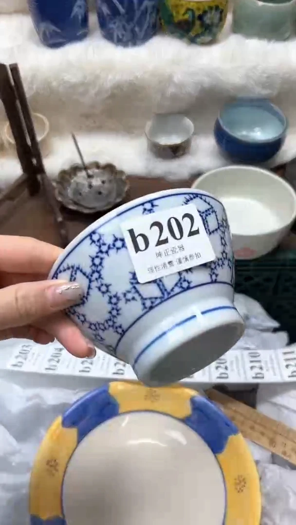 【闪购商品】瓷片          b202