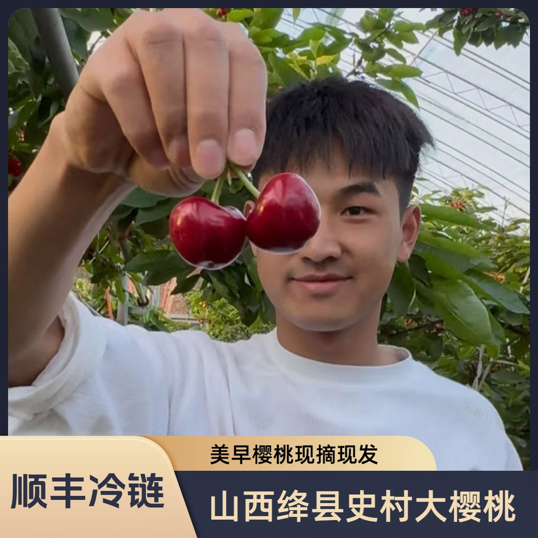 【顺丰冷链】山西脆甜美早樱桃3-5斤 新鲜空运果园直发