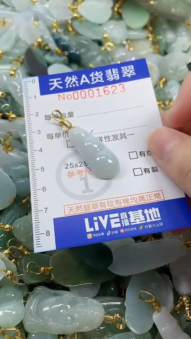 颈饰未镶嵌翡翠纯天然货a翡翠