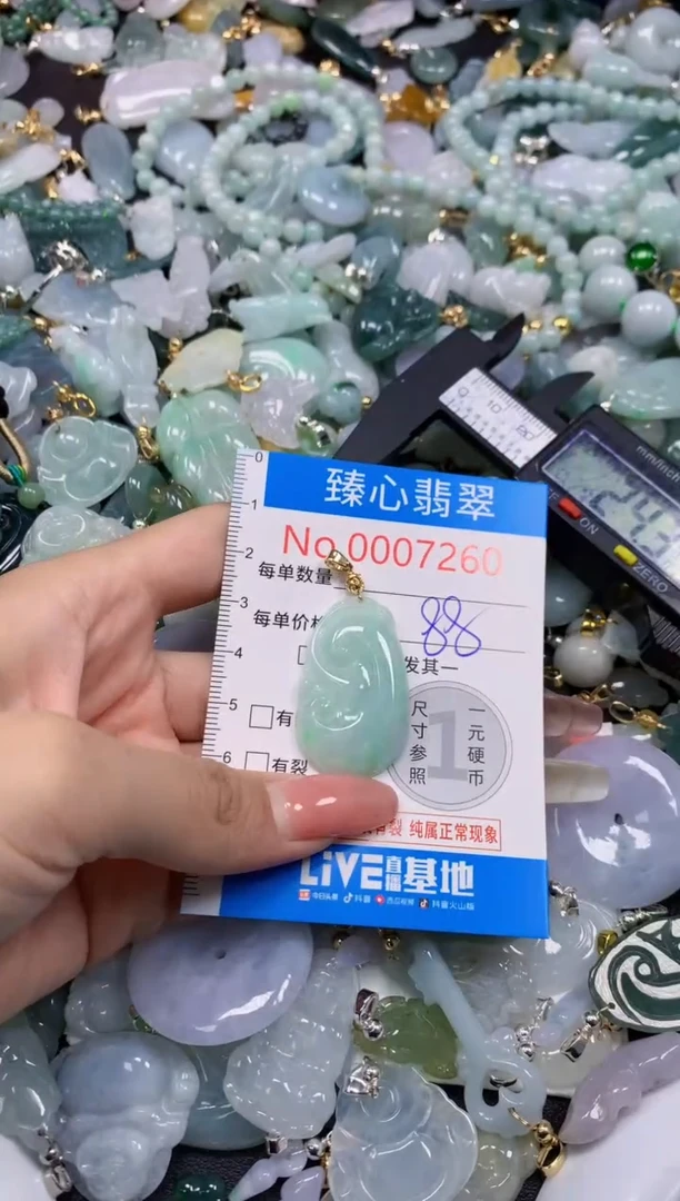 翡翠未镶嵌颈饰7260