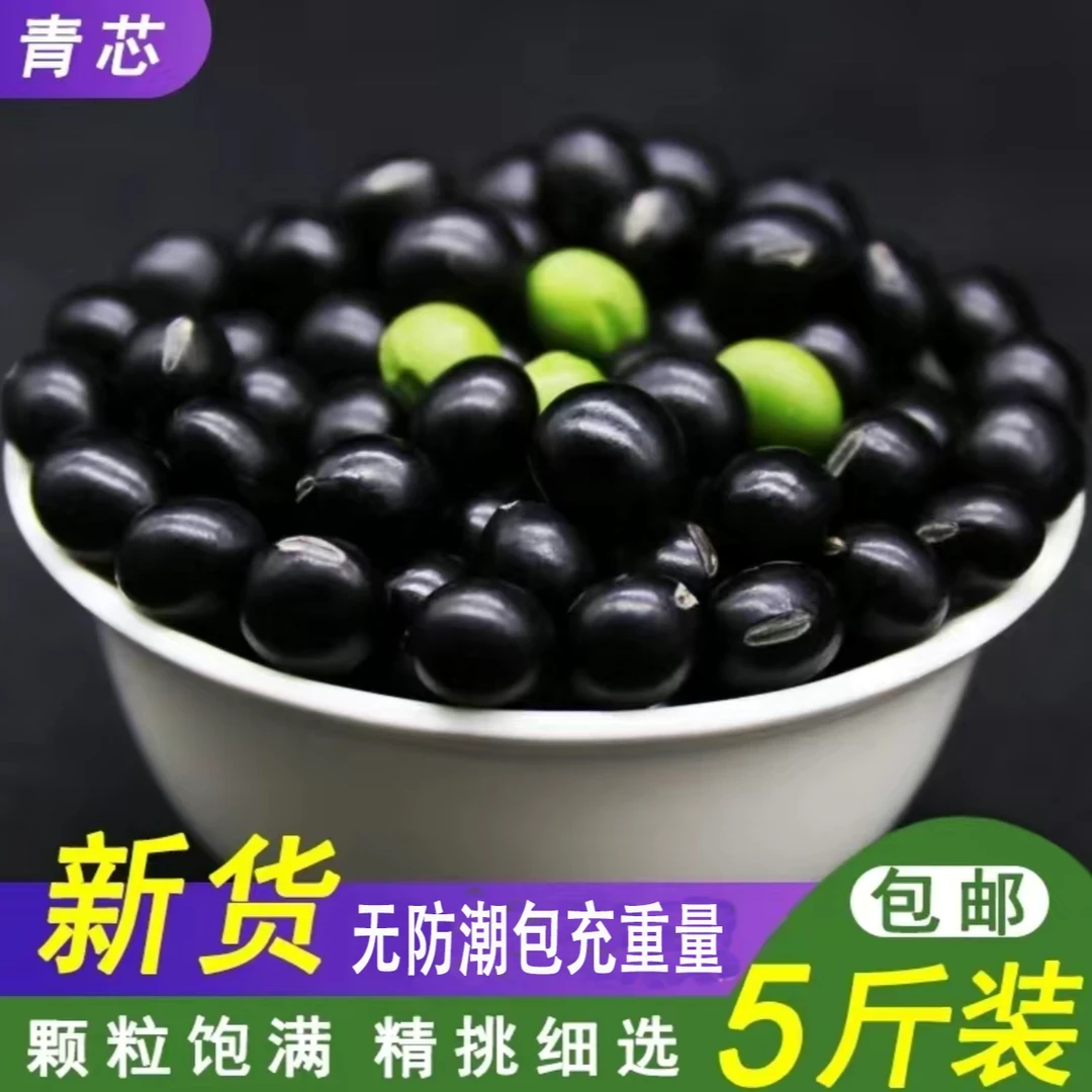 正宗生新货青仁东北农家纯天然豆浆黑豆100%纯黑豆