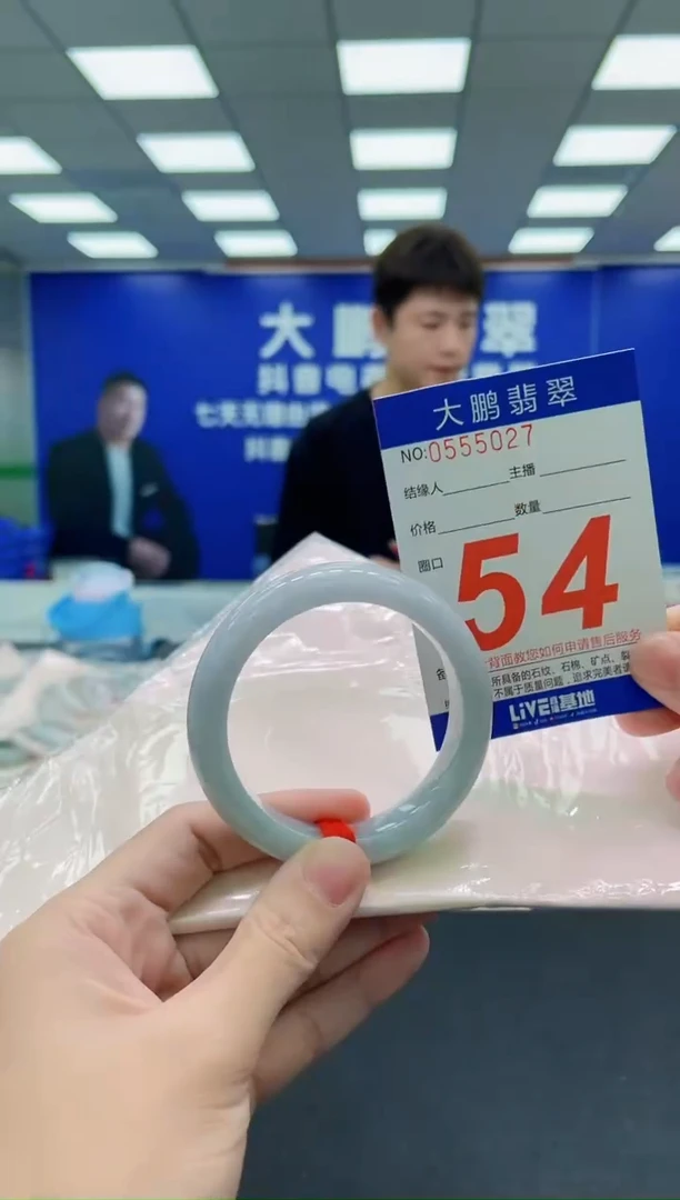 未镶嵌手镯翡翠AAAAAAAAA