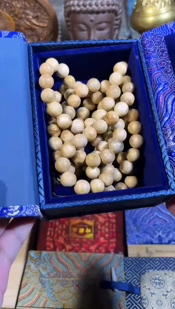 黄杨木11111111111111