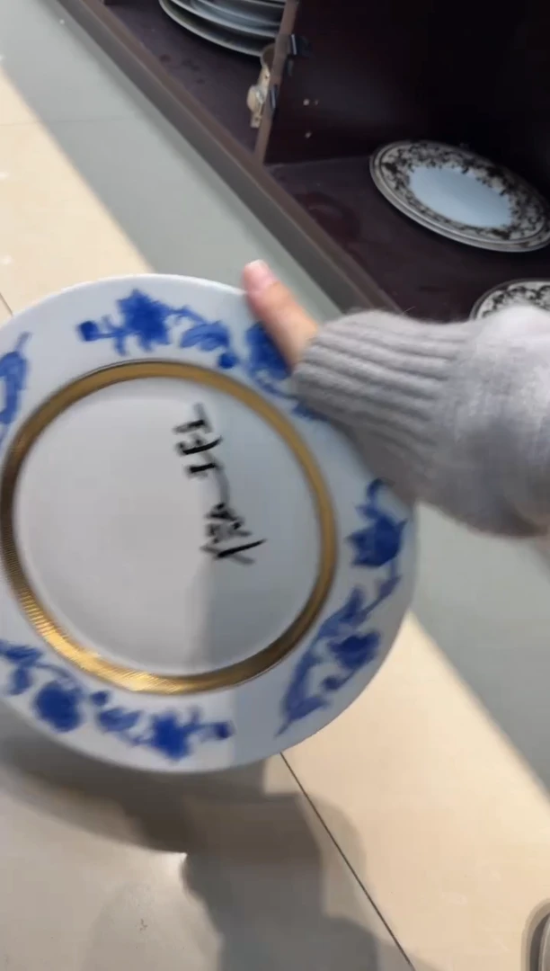 瓷片10.5英寸平盘 1个